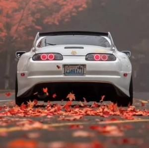 Meet your Posher, Jerry